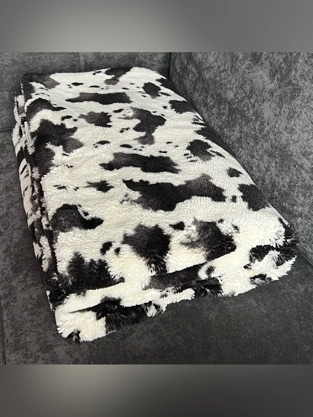 Minky Couture Urban Cowz Blanket- Adult Size